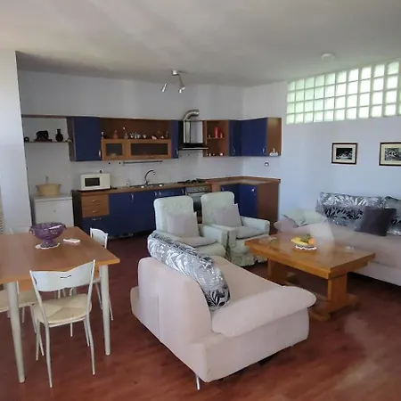 Triti's Tirana